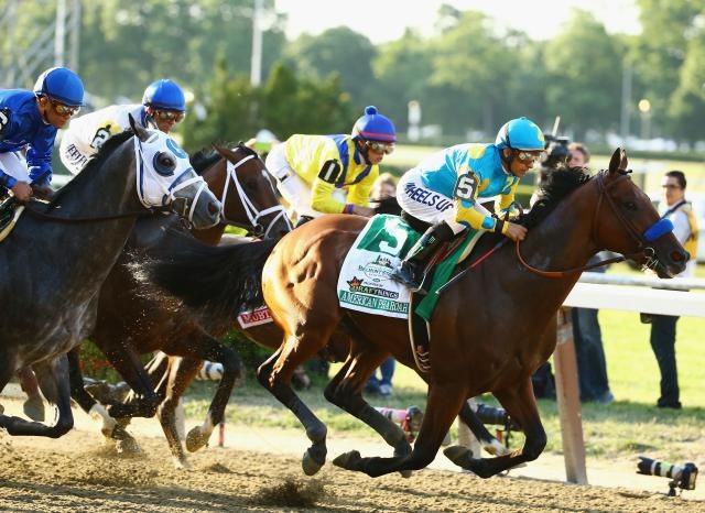 6-Year-Old Horse Dies at Belmont Park After Race Injury